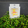 Spring Inspirations Pot Buddy Winnie the Pooh Spring Inspirations Pot Buddy Winnie the Pooh
