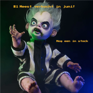 Top 5 Favorieten van Juni