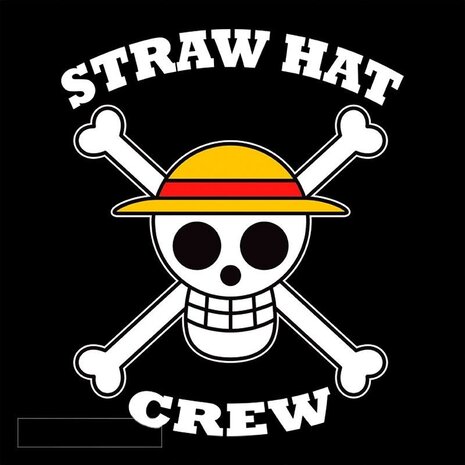 AbyStyle ONE PIECE - Snapback Cap - Black & Grey - Skull AbyStyle ONE PIECE - Snapback Cap - Black & Grey - Skull