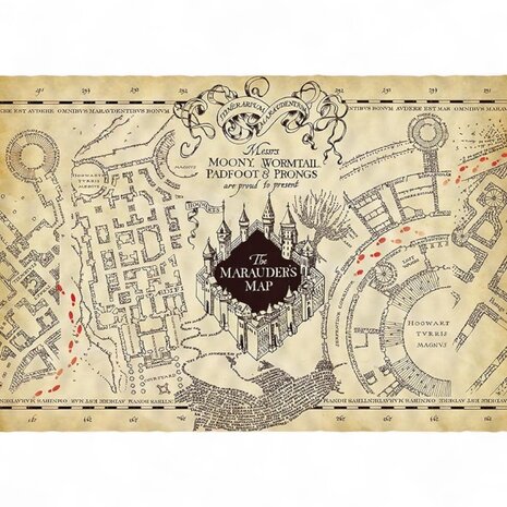 GB eye HARRY POTTER - Parchment poster - Marauder's Map GB eye HARRY POTTER - Parchment poster - Marauder's Map