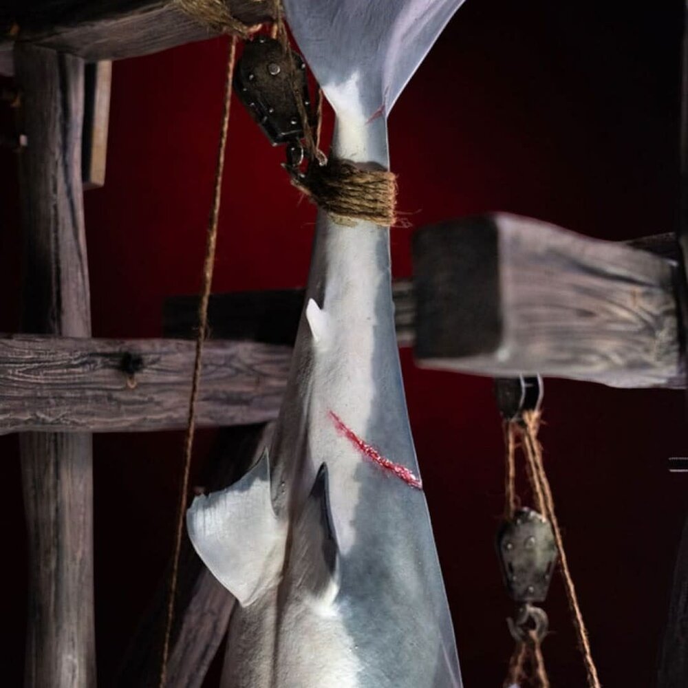 Elite Creature Collectibles Jaws Maquette 1/12 Jaws 76 cm Elite Creature Collectibles Jaws Maquette 1/12 Jaws 76 cm