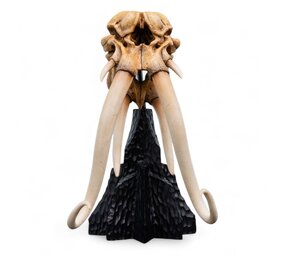 Weta Workshop Lord of the Rings Mini Statue Skull of a Mumak Weta Workshop Lord of the Rings Mini Statue Skull of a Mumak