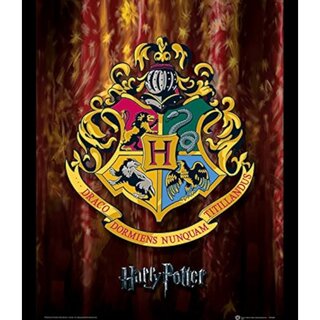 Harry Potter Art Scale