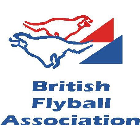 British Flyball Association Hoodie