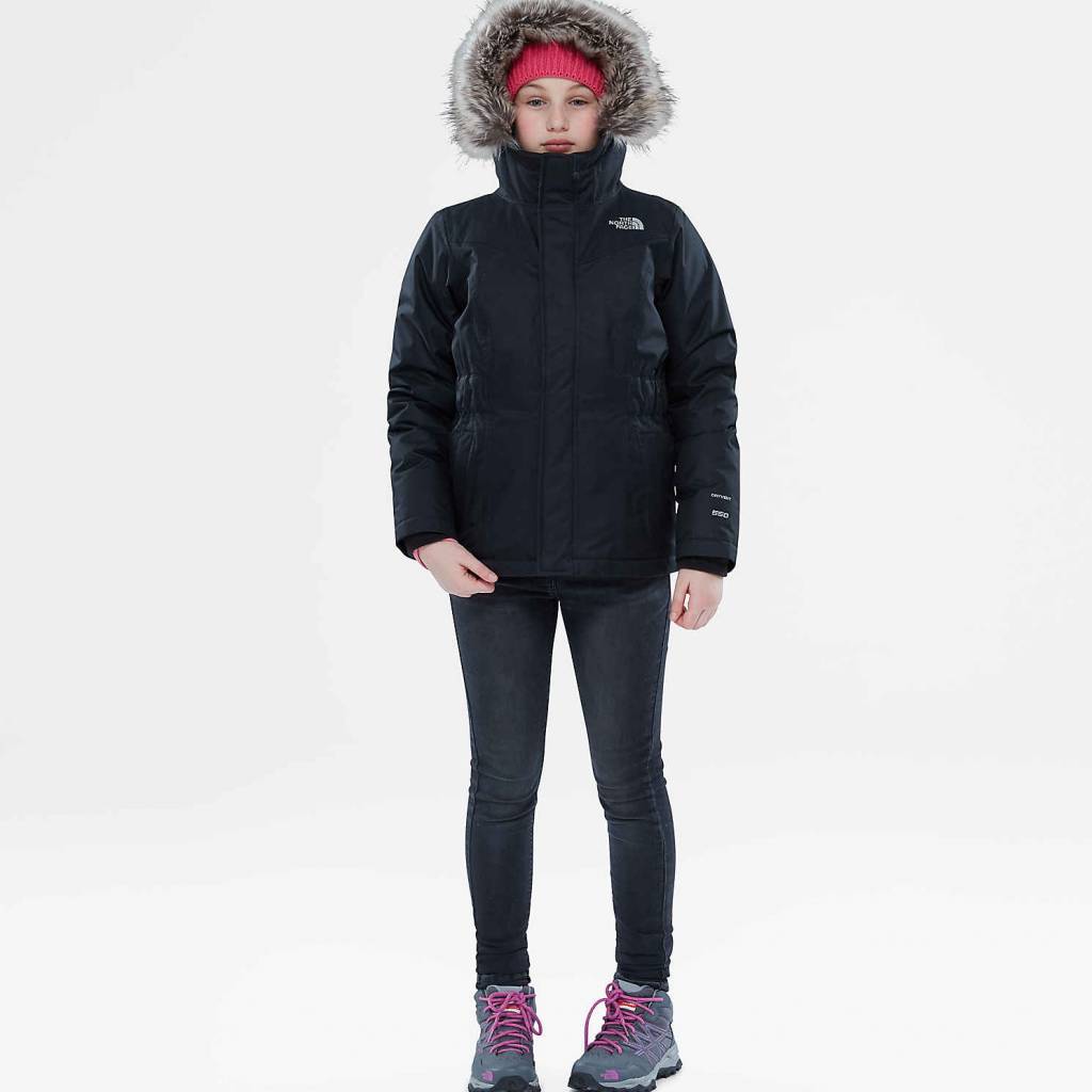 the north face greenland down parka