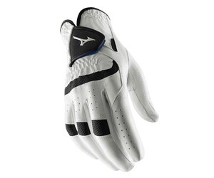 https://cdn.webshopapp.com/shops/21781/files/317804457/300x250x2/mizuno-mizuno-elite-golf-glove-men-for-left-handed.jpg