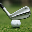 TaylorMade TaylorMade P-UDI Driving IJzer (graphite shaft)