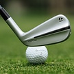 TaylorMade Taylormade P-UDI Driving Eisen 2024 (Graphitschaft) - LINKS