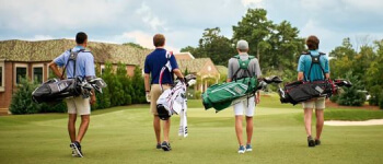 Standbags / draagtassen / carry bags op GolfDriver.nl