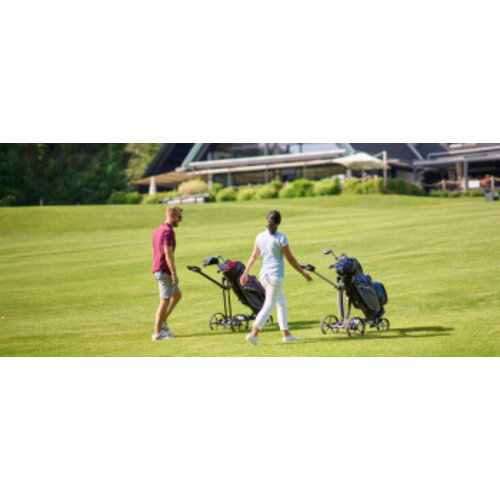 Chariots de golf électriques