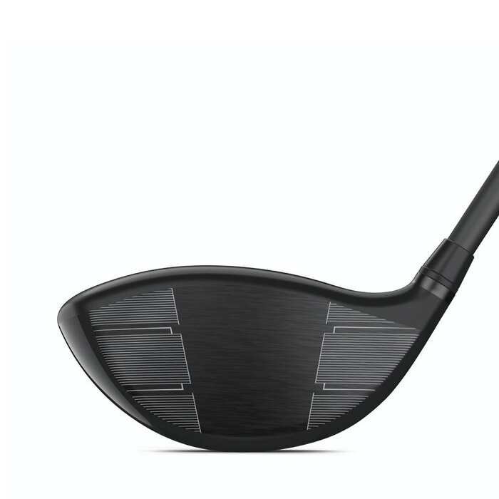 Wilson Wilson DynaPower 2 Carbon Driver 2025