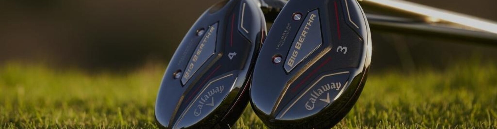 The rise of the hybrids