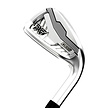 PXG PXG Wildcat IJzers 7-SW (graphite shaft)