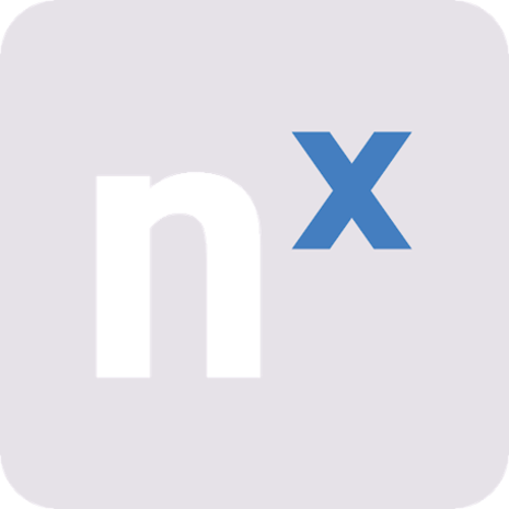 Nx Witness Professional Recording License