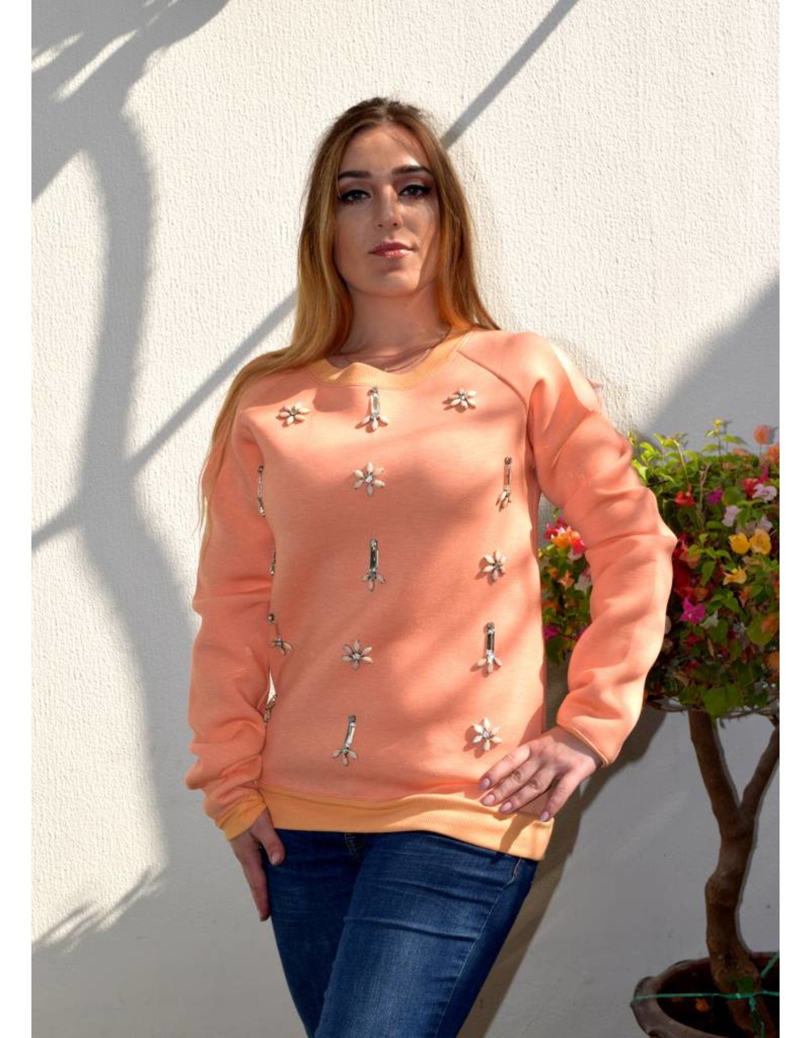 Preeti Chandra Jamie sweatshirt