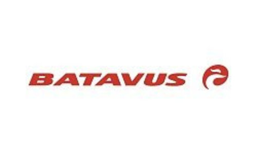 Batavus