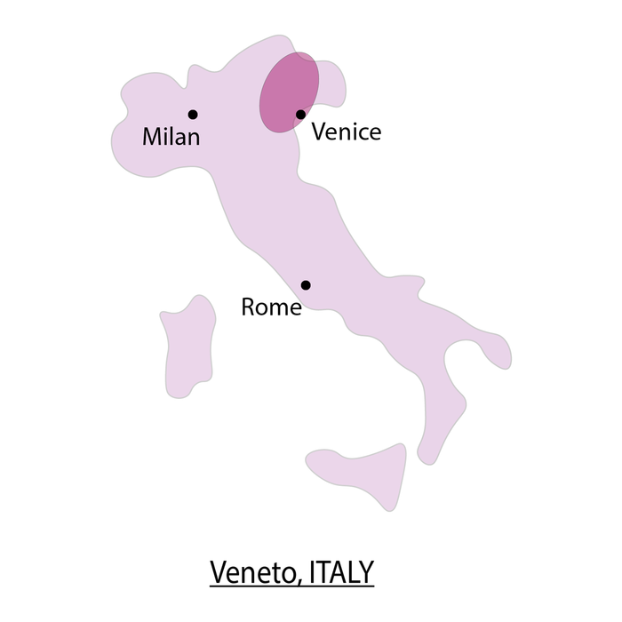 Prosecco Rose - Borgo Molino - 75cl