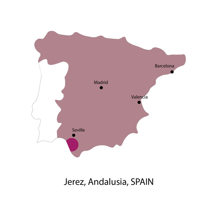 Premium Sweet Pedro Ximenez - Fernando de Castilla - 75cl