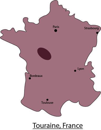 Dom du Pre Baron - Touraine Gamay  - 2021 - 75cl