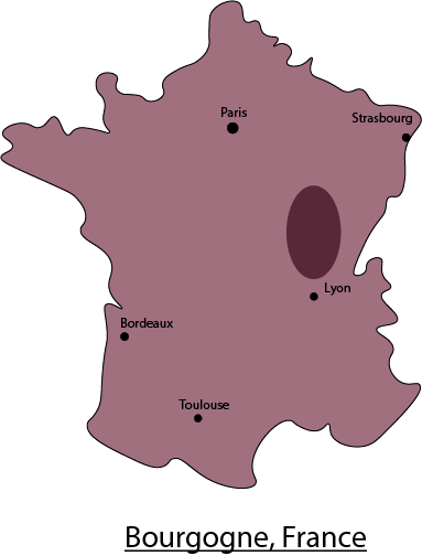 Chateau de Belleverne Beaujolais Villages Nouveau 2025