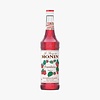 Framboise - Le Sirop de Monin - 700ml