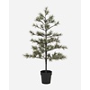 kerstboom, LED, natuur