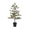 kerstboom, LED, natuur