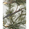 kerstboom, LED, natuur