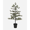 Kerstboom LED, Peuce, nature
