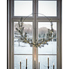 Krans LED, Giant, natuur