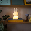 Nijntje schijnt lamp