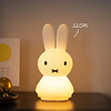 Nijntje schijnt lamp