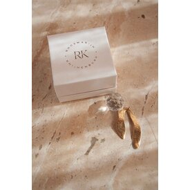Roosmarijn Knijnenburg zonnevanger maple met gedichtje