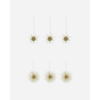 ornament ster- set van 6
