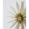 ornament ster- set van 6