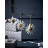 ornament ster- set van 6
