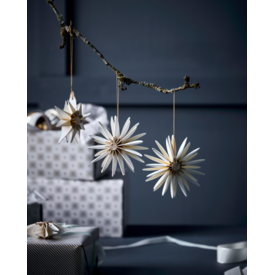 House Doctor ornament ster- set van 6