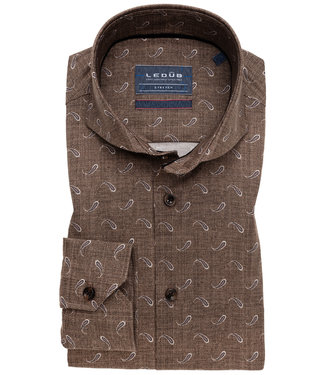 bruin paisley print