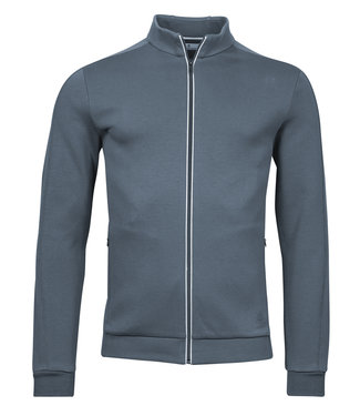 Thomas Maine heren blauw grijs sweat vest