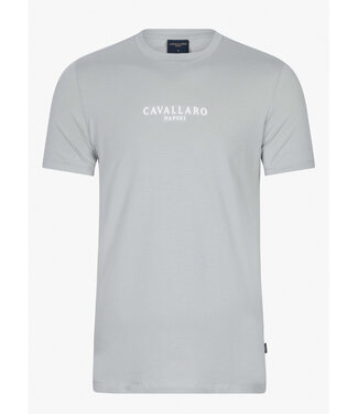 Cavallaro Bari Tee Sage Green t-shirt groen