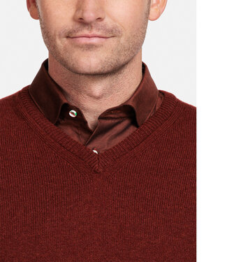 rood stone red v-hals heren trui  Scottish Lamswol