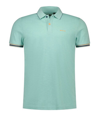 New Zealand Auckland 26CN122 1794 polo aqua blauw structuur pale leaf