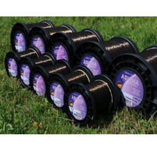 Ashima Gangster Forte 1000m Marrone