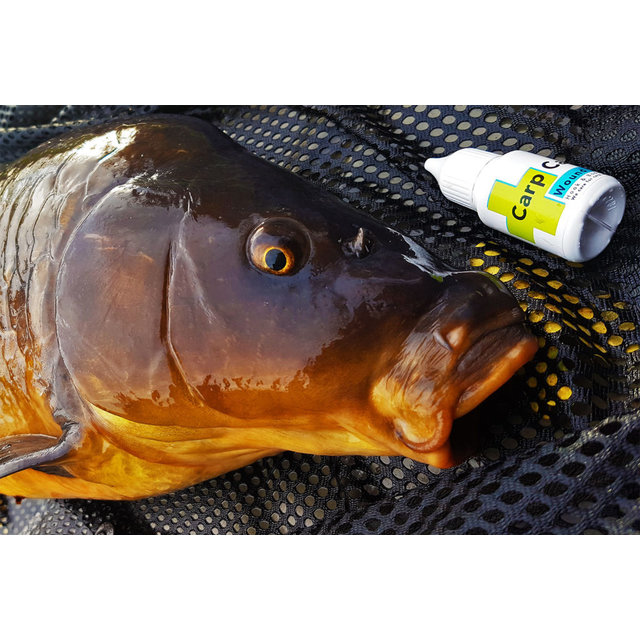 Carp Care Trattamento per ferite alla propoli 20 ml