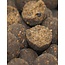 Baitworld Baitworld Dark Tuna Boilies 2 kg