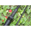 Ashima Ashima - FFX-S Carp rods | Compact carp rod with retractable part