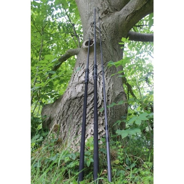 Ashima FFX-C | Combination carp rod with two rear parts