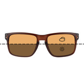 Compartimentos para gafas Fortis - Interruptor (fotocromático)