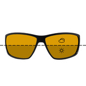 Fortis Eyewear Vistas - Vista Switch