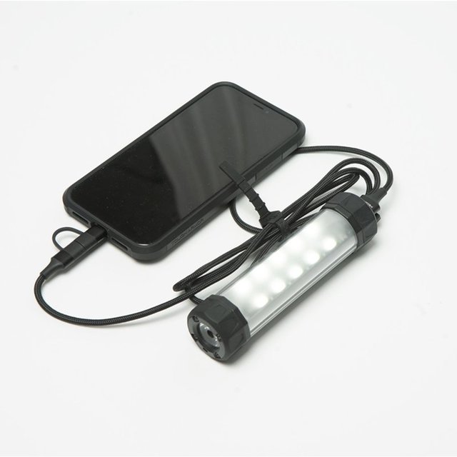 Powertech 2 in 1 Ladekabel